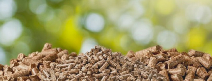 Biomasa pellet