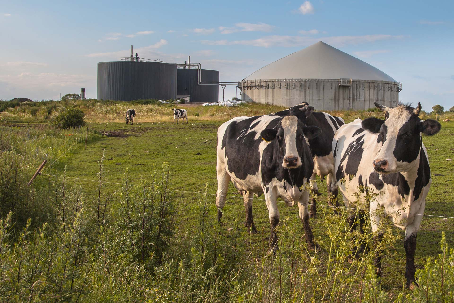 El biogás en México, una alternativa ecológica para la producción de