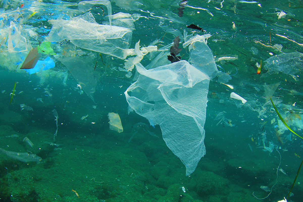 La bolsa de plástico su nacimiento, crcecimiento y extincioón Twenergy