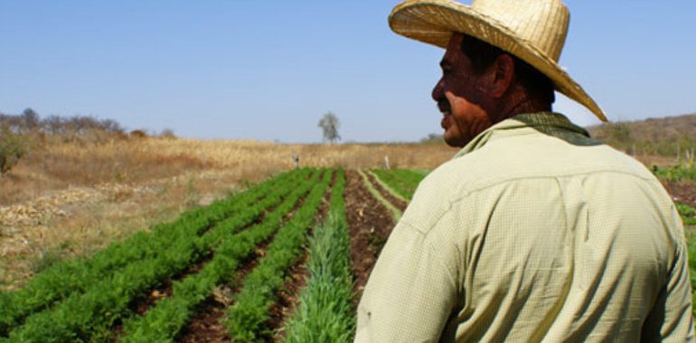 Agricultura ecológica en Jalisco