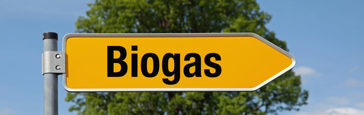 Biogás en México