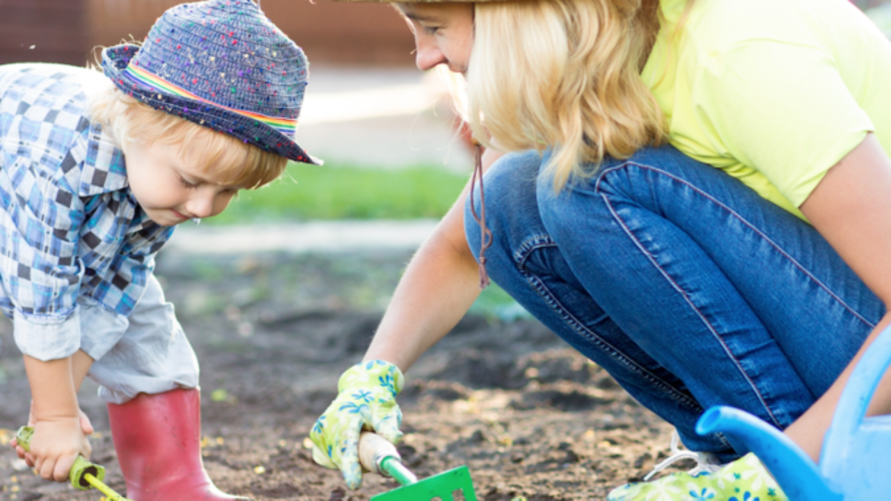 Cómo tener plantas en casa respetando el Medio Ambiente – Centro de  Educación Ambiental de El Retiro