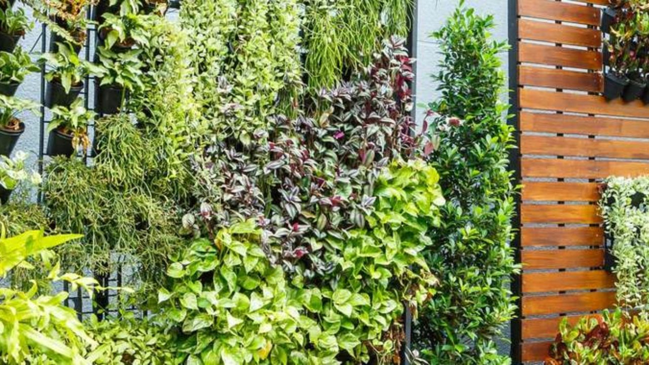 Un jardín vertical para la pared de tu terraza
