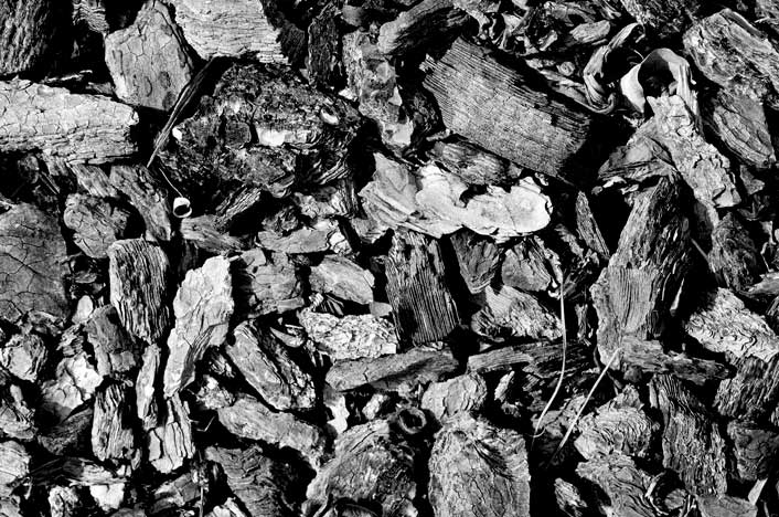 objetivo Llave presentar Cómo se Transforma el Carbón en Diamante? |Twenergy