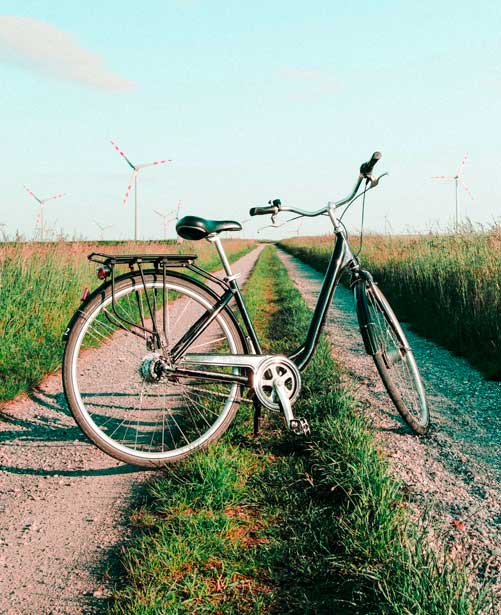 bicicleta en campo