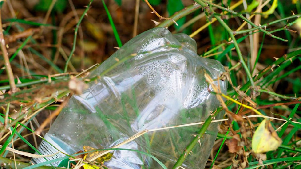 Cómo las botellas de plástico contaminan el medio ambiente