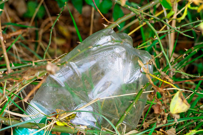 Envases plásticos para alimentos, estas son sus consecuencias