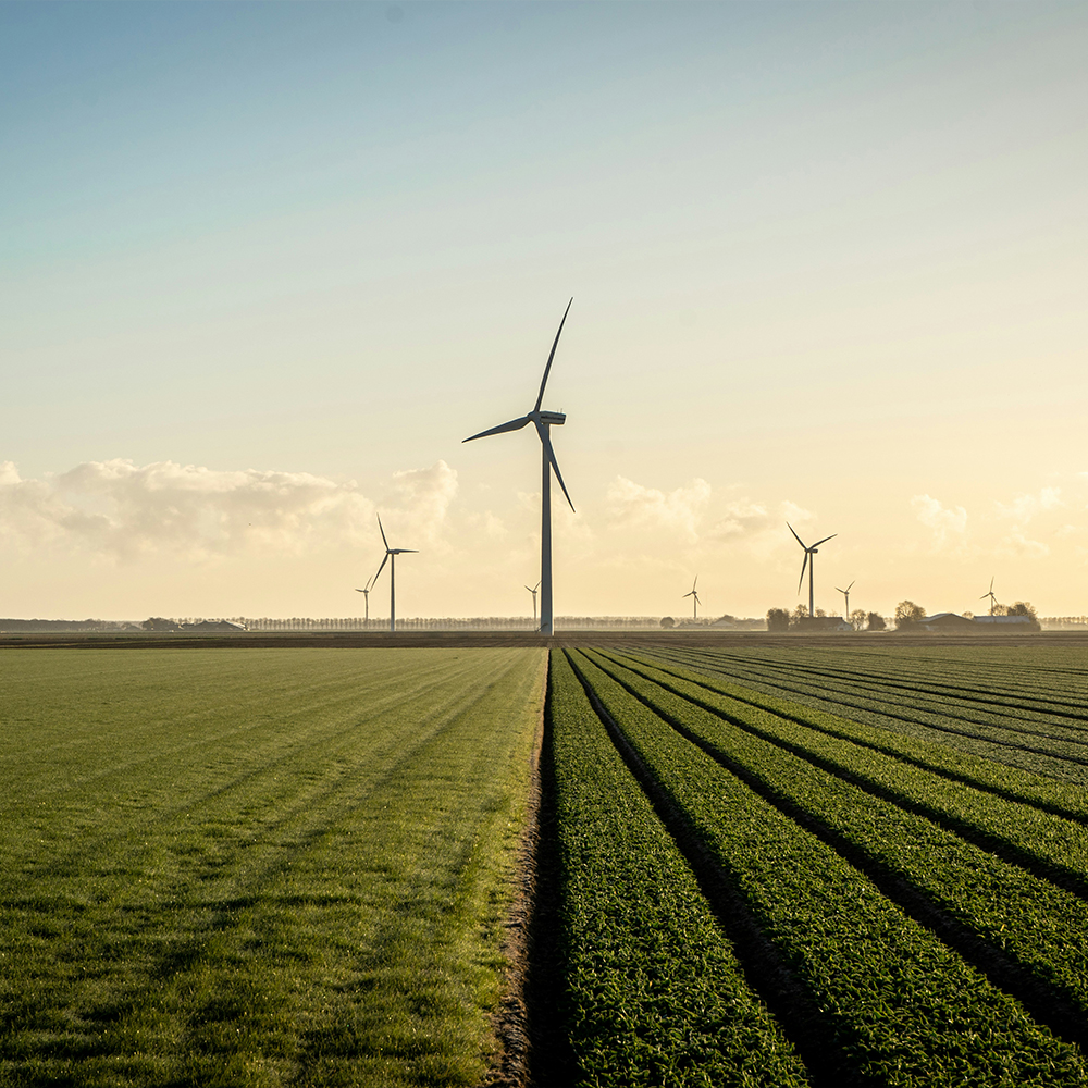 Acciones que dejan Huella: Energía eólica